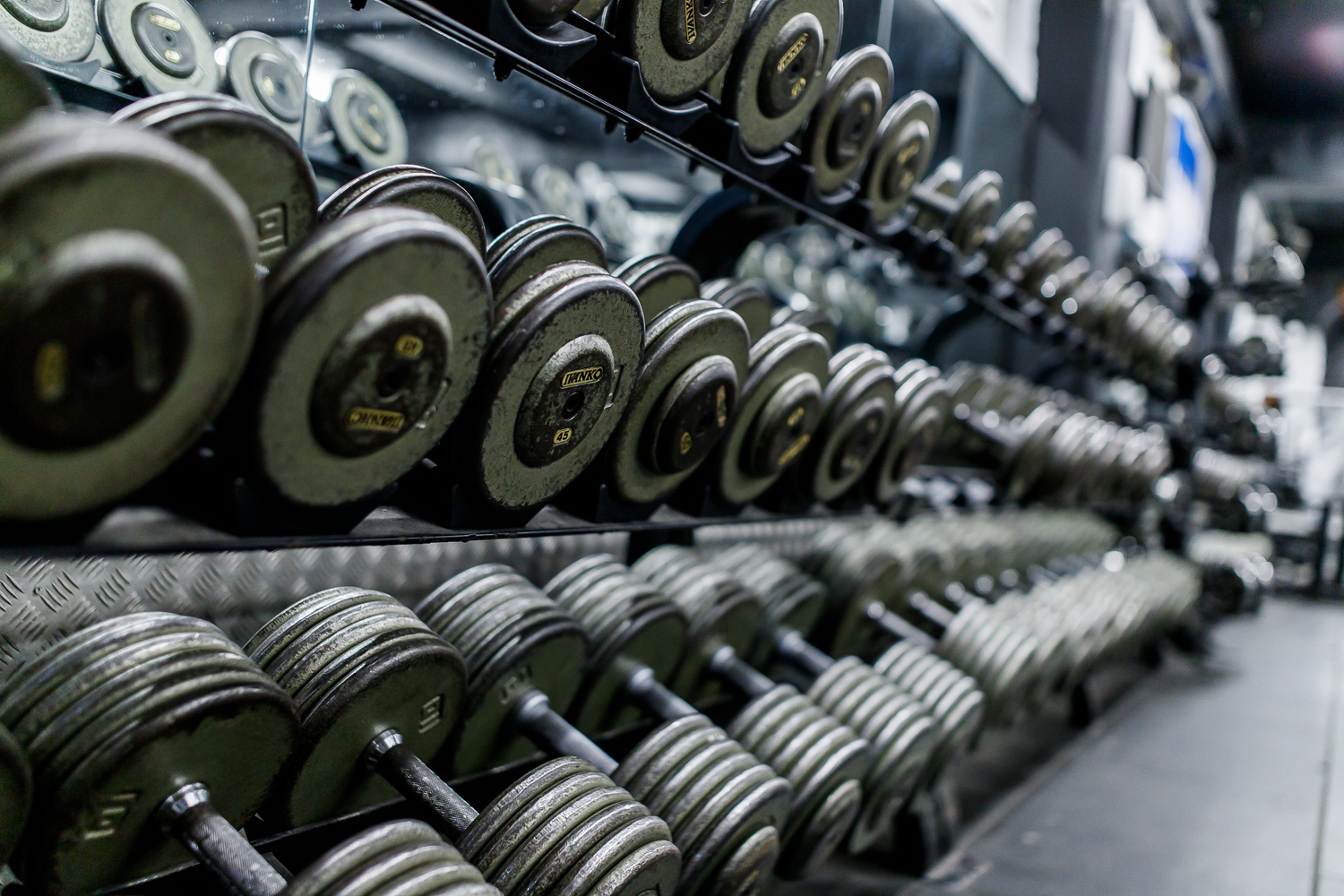 Rows of heavy dumbbells and loaded barbells on the free weights floor
